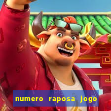 numero raposa jogo do bicho